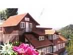 Cazare Vila Floare de Colt